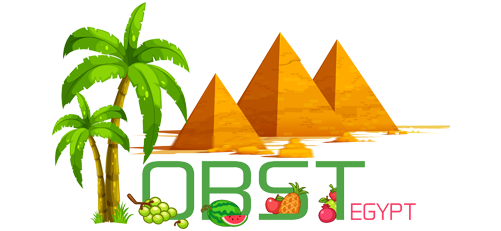 OBST EGYPT Footer Logo