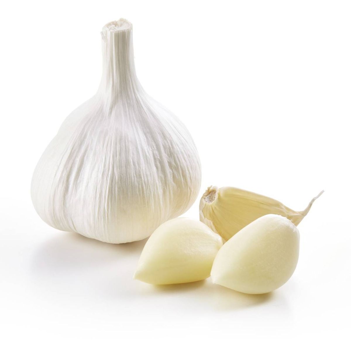 Garlic